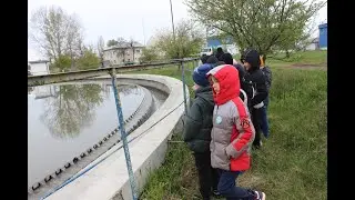 Epurare 2025