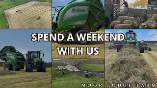 SPEND A WEEKEND WITH US | rowing up, baling & weaning lambs