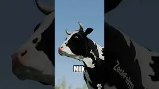 Can Cows Make Purple Milk? 🐄🥛