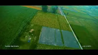 SpeedyBee Master 5 HD With Dji O3 (Video Record From Dji O3)