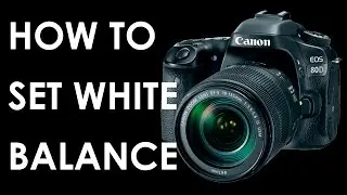 Canon 80D Как настроить баланс белого в ЛЮБОЙ зеркальной фотокамере?