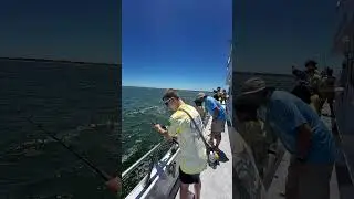 Virginia Beach Bluewater Fishing Club Hooked on Fishing, Not on Drugs 2025