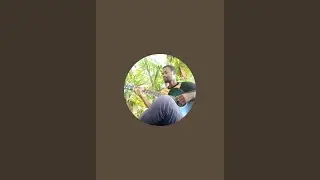Música ao vivo