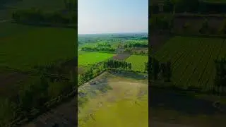 Mardan shagai cricket 🏏 ground #mardan