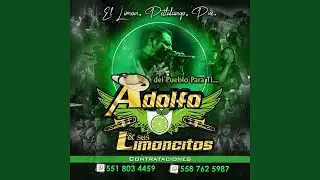 La Martina (En vivo)
