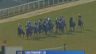 2010 Spinal Research Supreme Novices Hurdle