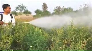Gx35 4 stroke Knapsack power sprayer