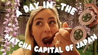 Living my Matcha dreams in Uji, Japan