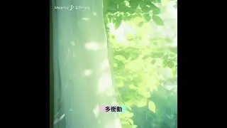 BEYOND-喜歡你(Cover)