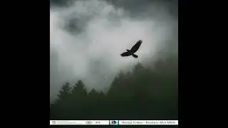 Message To Bears - Mountains (HKLS Remix) // ID16