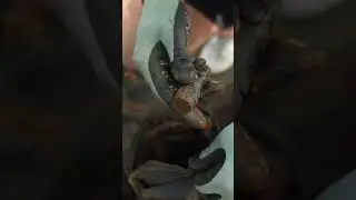 Found Possible Human Remains in Backpack Underwater&hellip; (Scuba Diving Finds)