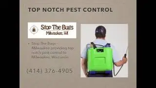 Solutions for ant control in your home - Milwaukee Pest Control Pros