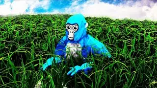 Gorilla Tag in REAL LIFE...
