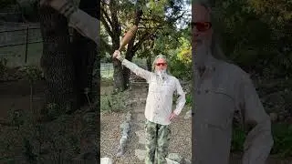 How to Heal Your Shoulders with an Indian Club & Internal Force