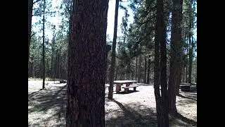 Camping review:  Roubaix lake campground, just south of DeadWood South Dakota