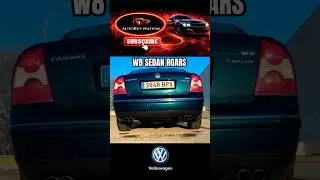 Passat B5 W8 Cold Start & Revs &ndash; Forgotten V8 Sound