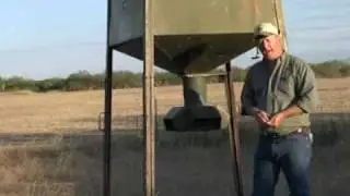 Free Choice Protein Feeders Explained