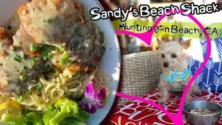 Sandy's Beach Shack / Dog Friendly California Restaurant Review