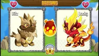NEW BREEDING: Pure Terra Dragon & Pure Flame Dragon | DRAGON CITY 😍