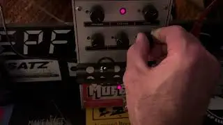 Behringer TD3 into Electro Harmonix English Muff&rsquo;n