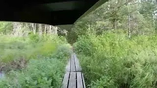 Algonquin Park: Ooze Lake to Opalescent Lake - 640m Portage