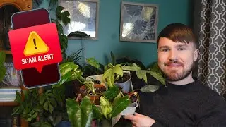 Don't Get Scammed! Plant Scams, Seller Checks, Buying Tips and Buyer Protections You Need to Know!