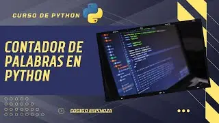 Cómo Crear un Contador de Palabras en Python