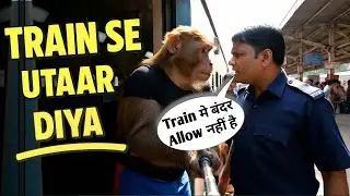 बन्दर समझ के ट्रेन से TT ने उतार दिया 😤 || Baba Bunty New Vlog || Ai monkey vlogs ||