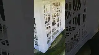 DIY Brooding Cage 😁 | JT FOWLYARD 🇵🇭 #reels #oriental #gamefowls #farming