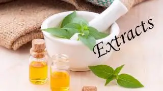 Tamisium Extractors for all of your extraction needs