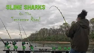On the Hunt for River Monsters in Chattanooga