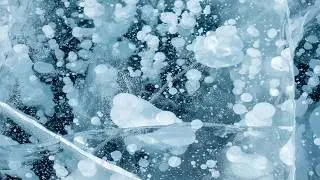 Winter Stillness: A Journey Through Ice and Crystals