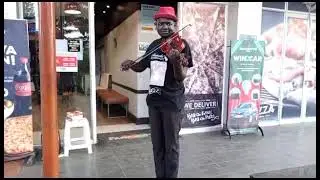 Elvis Presley || Cant_Help_Falling_In_Love || Street-Music-Show || Violinist 🎻