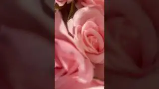 The Artificial Roses Look So Pretty || #pink #valentines2026 #valentinesday #viralshorts