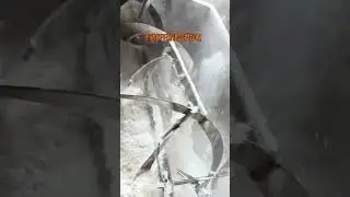 Stainless Steel Dry Powder Mixer