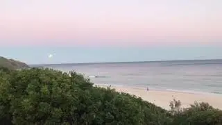 Full moon Bluey