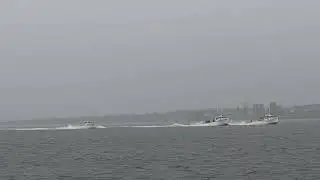 2024 pictou lobster boat races