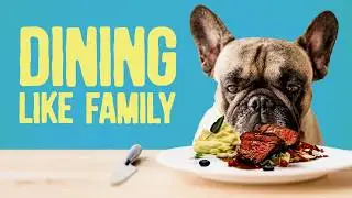 Feeding Dogs Like Family - Good or Bad?