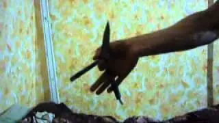 БАЛИСОНГ. Уроки флипинга:Double Index Rollover