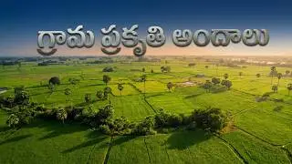 The beauty of the village nature | drone agriculture telugu | Drone Visuals
