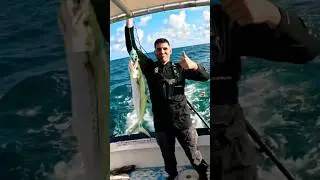 Pescando con Nemo #fishing #pesca #fish #viral #foryou #sub