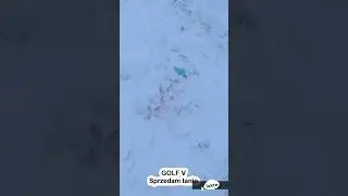 Sprzedam tanio golfa😁