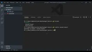 Git Branch Switch