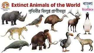Extinct Animals of the World | 10 Extinct Animals Name | Dodo, Woolly Mammoth & More #extinctanimals