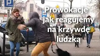 Prowokacje - jak reagujemy na krzywdę ludzką