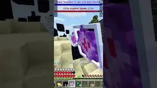 Minecraft MineVille Lifesteal SMP