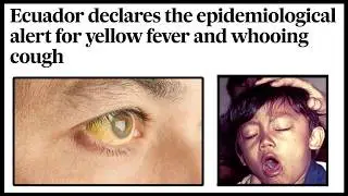 Ecuador Travel PSA: Health and Safety