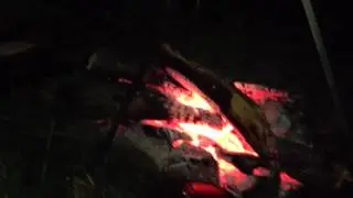 Лесной костер !