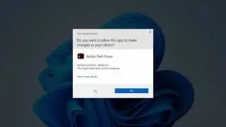 Flash Player for Windows 11
