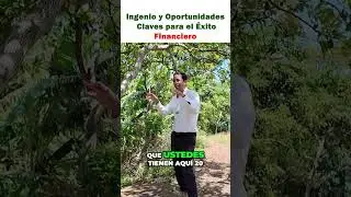 Ingenio y Oportunidades Claves para el &Eacute;xito Financiero